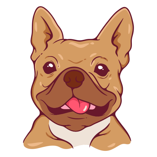 french-bulldog (2)