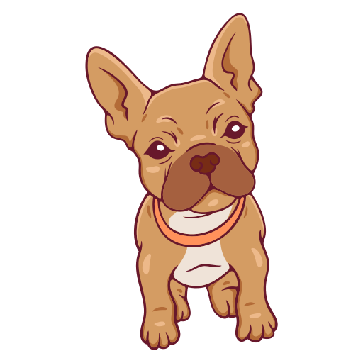 french-bulldog (3)