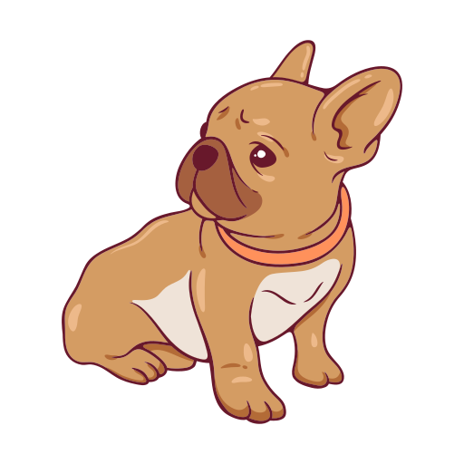 french-bulldog (5)
